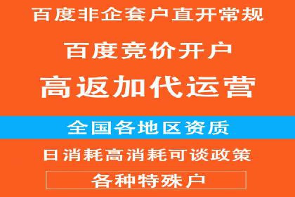百度竞价赚钱秘诀：实战案例分析